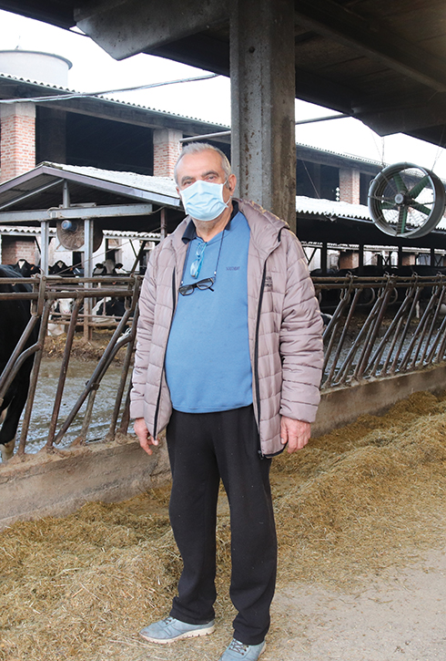 Farm Led for Breeding, bovini da latte, illuminazione, benessere animale