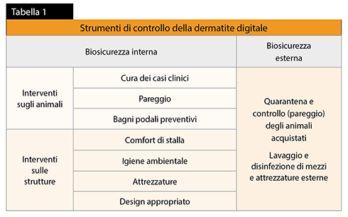dermatite digitale, Mortellaro disease, bovini da latte, Lely Italia, Discovery 120 Collector