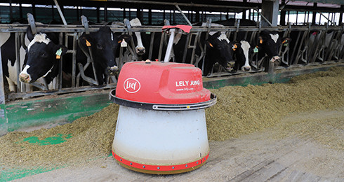DairyComp, Cooperativa Libertà e Lavoro, bovini da latte, gestione mandria, rimonta