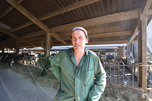 Farm-Led for breeding, Molino Terenzano, illuminazione, bovini da latte, Daniele Sangalli