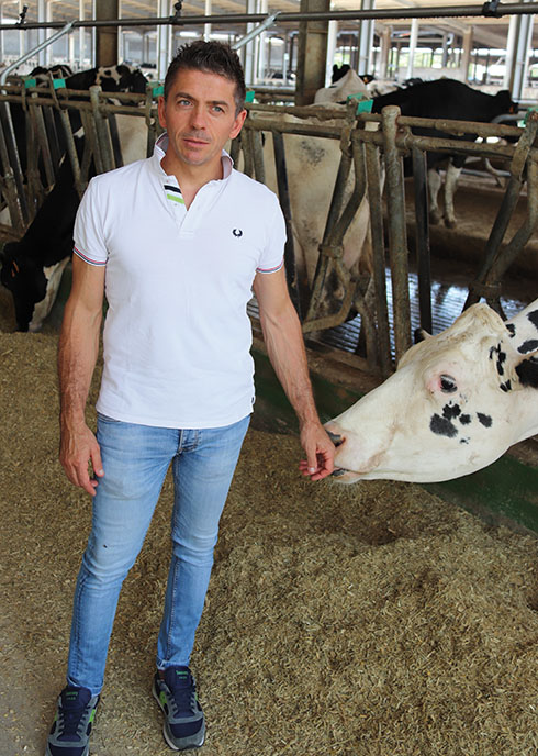 BVD, Maurizio Frate, virus, vaccini, bovini da latte