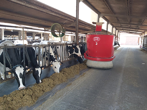 Lely Vector, Lely Dairy XL, robot, alimentazione, bovine da latte