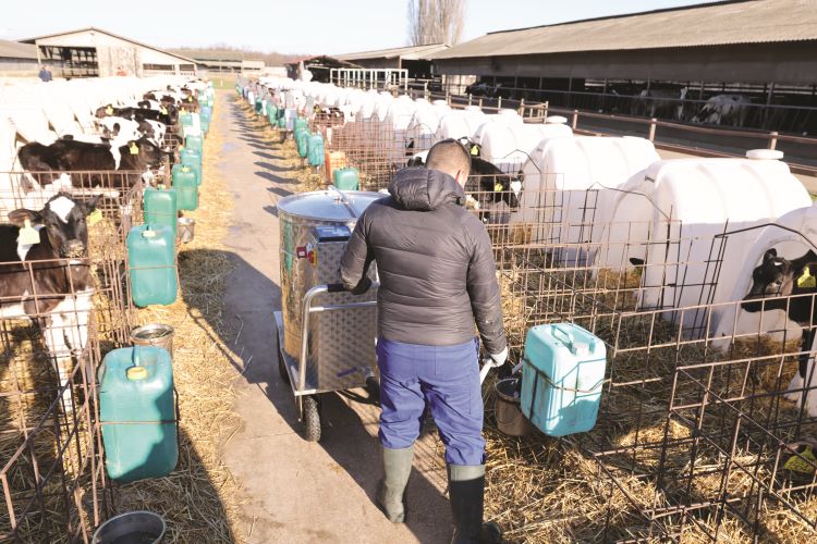 L’Ungheria investe nelle stalle da latte