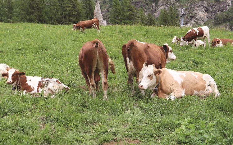 “Noi piccoli vogliamo contare di più”