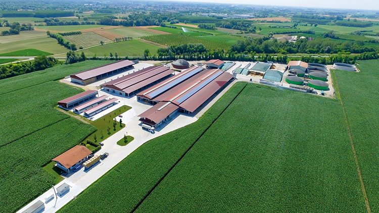 Friuli, alunni al caldo col biogas