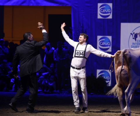 Cremona: sarà un dairyshow da record