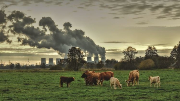 La lotta al metano passa dal management aziendale