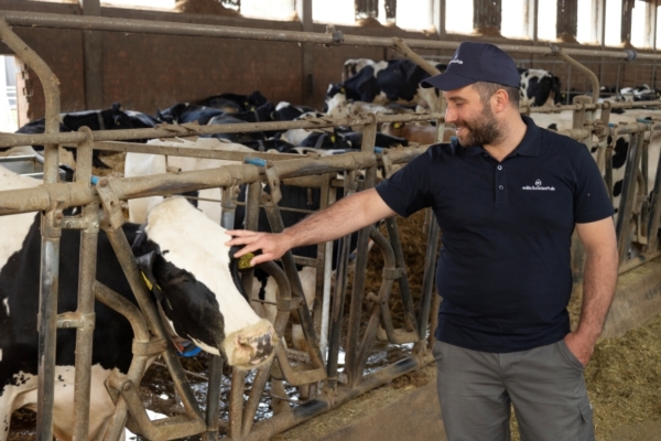 Vacche più sane e maggiore efficienza: con i collari milkrite | InterPuls è possibile