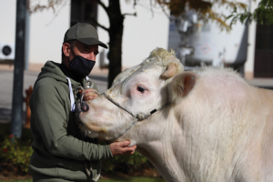 Erba medica millesimata per una filiera Doc